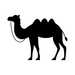 Camel silhouette flat illustration on isolated background
