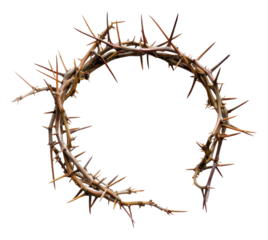 PNG Circle branch wreath antler