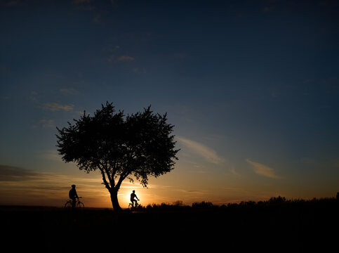 Contours of two cyclists riding under a tree against the background of the setting sun