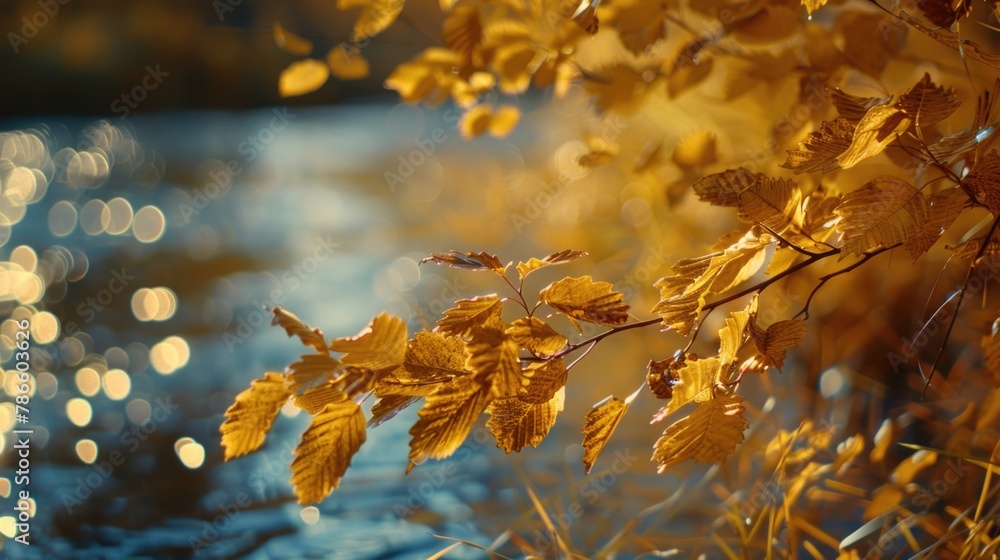 Poster close up of a tree branch by a peaceful body of water. suitable for nature and environment concepts