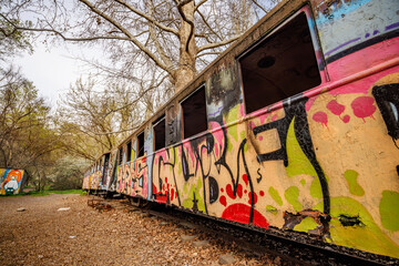 Graffiti-adorned train car amidst leafless trees, forgotten train on secluded tracks.