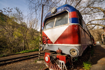 Old locomotive carriage with vibrant graffiti colors in natural setting.