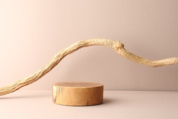 Presentation for product. Wooden podium and tree branch on beige background