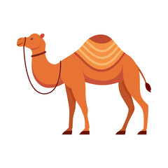 Flat illustration of camel on isolated background