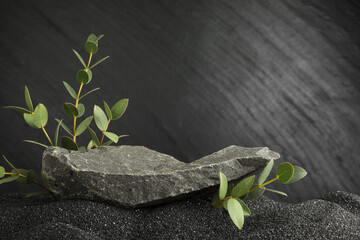 Presentation of product. Stone podium and green branches on black sand against dark textured...
