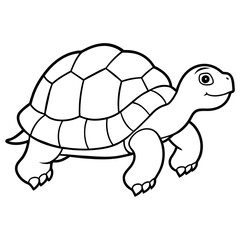 turtle illustration