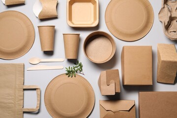 Flat lay composition with eco friendly food packagings and twig on light grey background