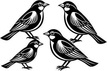 Set of birds vector silhouette on white background 