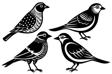 Set of birds vector silhouette on white background 