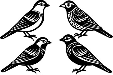 Set of birds vector silhouette on white background 