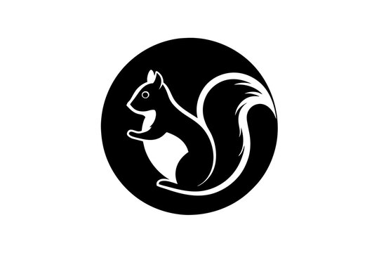  Draw A picture of  A Squirrel Icon in circle logo,  vector style,  Minimalist, creative, White background