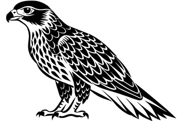 Fototapeta premium North American tailed hawk silhouette vector style