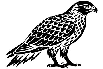 North American  tailed  hawk   silhouette vector style
