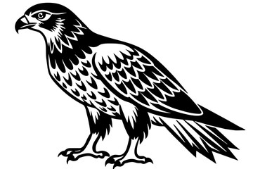 North American  tailed  hawk   silhouette vector style