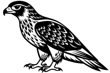 North American  tailed  hawk   silhouette vector style