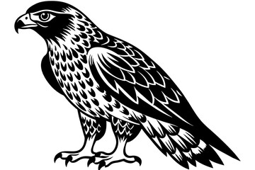 North American  tailed  hawk   silhouette vector style