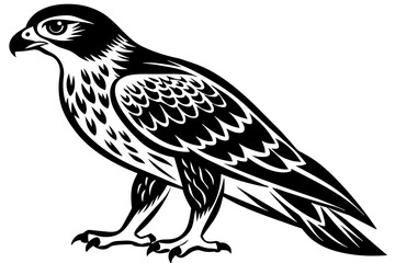 North American  tailed  hawk   silhouette vector style