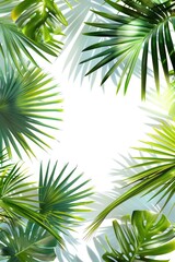 Obraz premium Palm leaves isolated on a white background, perfect for tropical and nature-themed designs