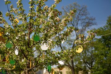 A flowering tree is decorated for Easter. Easter decor on European streets.  Zielona Gora, Poland, April.