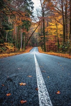 A serene image of an empty road in a peaceful forest. Perfect for nature-themed projects