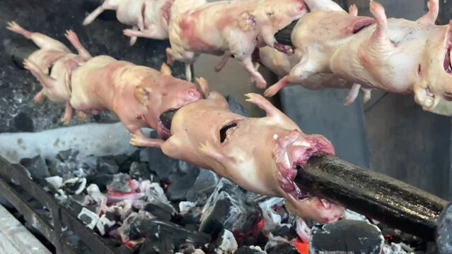 Ecuadorian Guinea Pigs Roasting over Coals