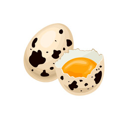 Quail eggs isolated on white background. Whole and half of egg with yolk in egg shell. Vector cartoon illustration.