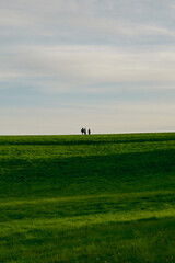 People walking in a green field at sunset