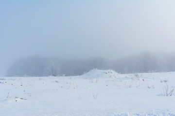 Snowcovered field with distant trees under cloudy sky