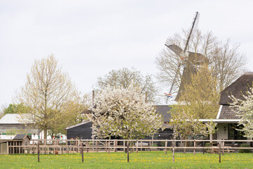 Fototapeta na wymiar Mill - De Zwaluw, in the rural village of Opheusden in the Betuwe.