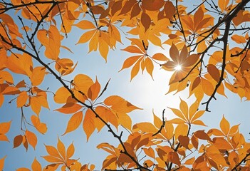 Autumn image with  leaves in bright colours 