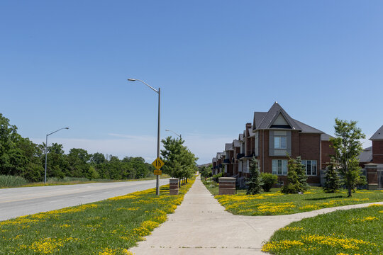 Serene suburban neighborhood - modern brick houses line a street - vibrant yellow flowers along a sidewalk - green trees and shrubs in the background. Taken in Toronto, Canada.