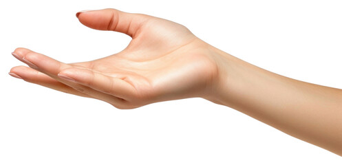 PNG  Hand finger adult skin