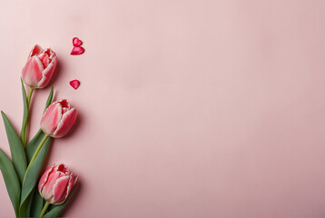 pink tulips on pink background with copy space, love, valentine, Mother's day