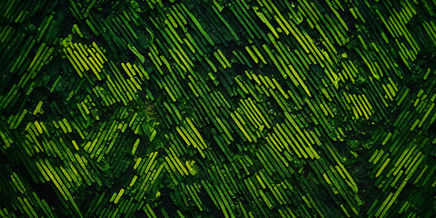 Digitaler Code-Regen: Matrixähnliche Komposition in Grün - obrazy, fototapety, plakaty