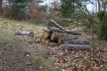 Obraz premium Spring landscape on a rainy day. Fields, roads, meadows