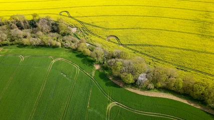 Deurstickers Champ de colza jaune et prairie verte délimités par une forêt vus de haut en drone © Joachim Beauvilain