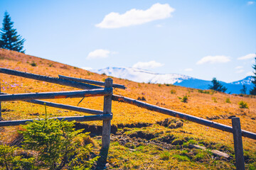 Fototapeta premium a fence for sheep on a pasture in the mountains among the woods 
