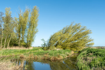 Rural river and marshland