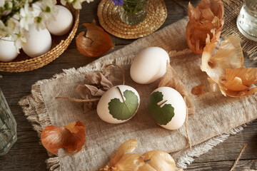 Preparation of Easter eggs for dyeing with onion peels with a pattern of fresh leaves - 786640074