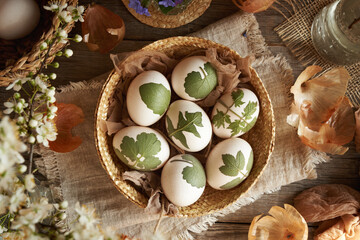 A basket of white Easter eggs with herbs attached to them with old stockings - preparation for dyeing with onion peels - 786640090