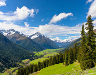verdant valley brims with towering trees and snow-capped mountains far off Scattered clouds dapple the azure sky overhead