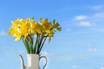 a bouquet of yellow daffodil flowers in a light vase against a blue sky