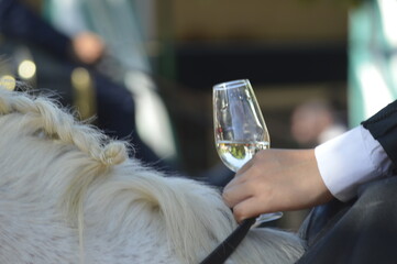 A glass of sherry whine in the world famous April fair from Seville