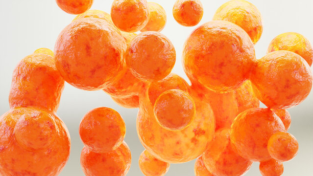 Fat cells, adipocyte and lipocyte, cholesterol in a cells, White fat cells contain a large lipid droplet, 
 fat in human body, Obesity concept, dermis and hypodermis, nucleus, 3d render