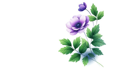 Elegant single purple anemone flower with green leaves against a white background, perfect for spring-themed designs and Mother's Day promotions