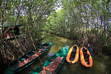 Ecotourism nature by Kayaks and rubber boats at Kui Buri National Park Prachuap Khiri Khan...