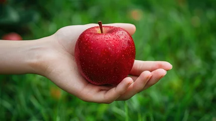 Rolgordijnen Hand holding a red apple against a backdrop of green grass © 2rogan