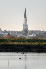 Ars en ré church steeple in the ile de ré salt marshes. Ile de Ré island in France