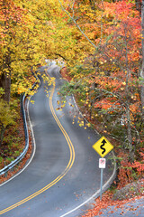 Curvy Road Leading From Bays Mountain