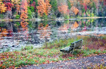 Bench With View of Autumn Foliage
